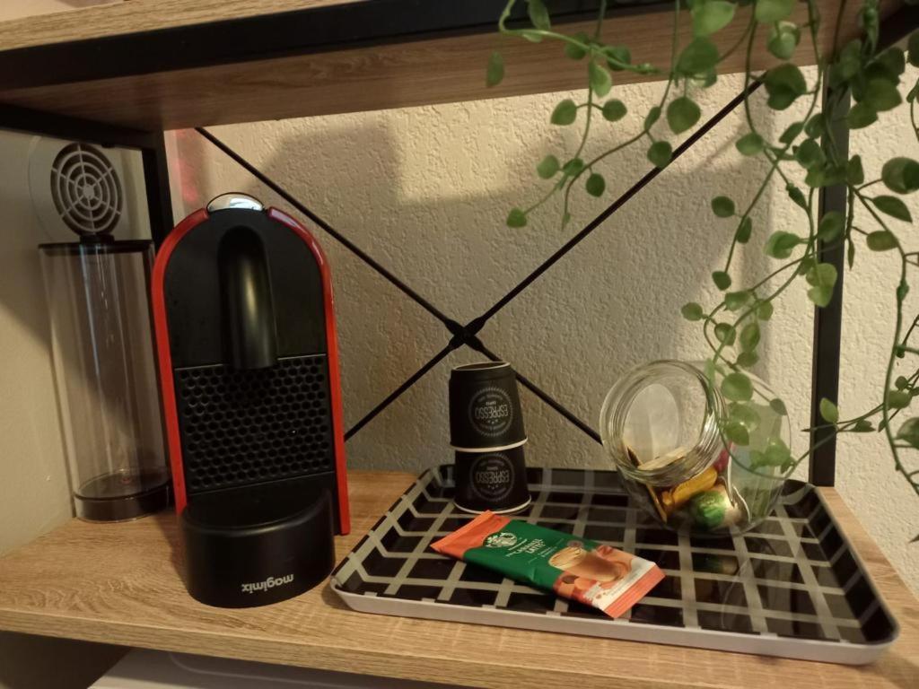 Appartement Calme Et Bien Situe Tarbes Eksteriør bilde